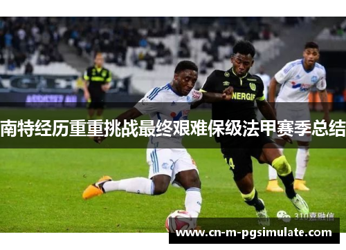 南特经历重重挑战最终艰难保级法甲赛季总结